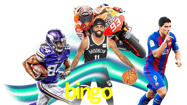 bingo8